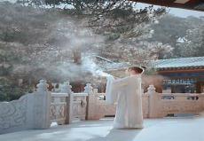 浮生若梦最后的王公