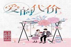 爱的代价电视剧